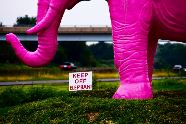 Keep Off Elephant, Interstate 55